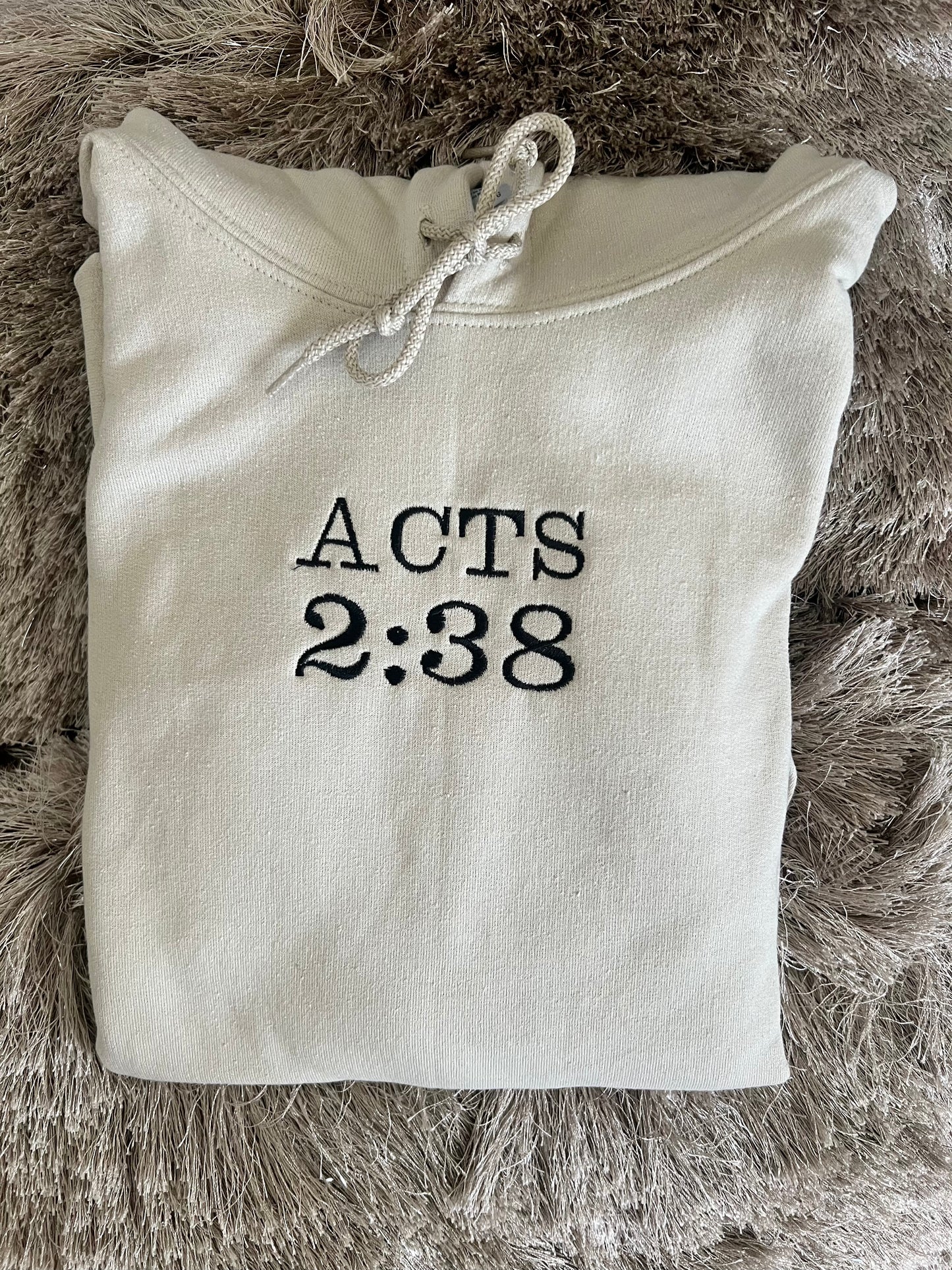 BEIGE ACTS 2:38 HOODIE
